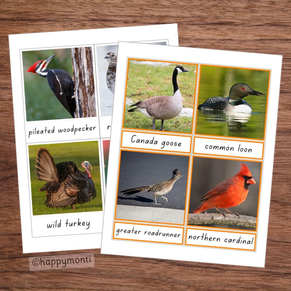 Montessori Birds of North America three-part cards featuring the pileated woodpecker, wild turkey, Canada goose, common loon, greater roadrunner, and northern cardinal. Educational printable for bird identification and early learning.