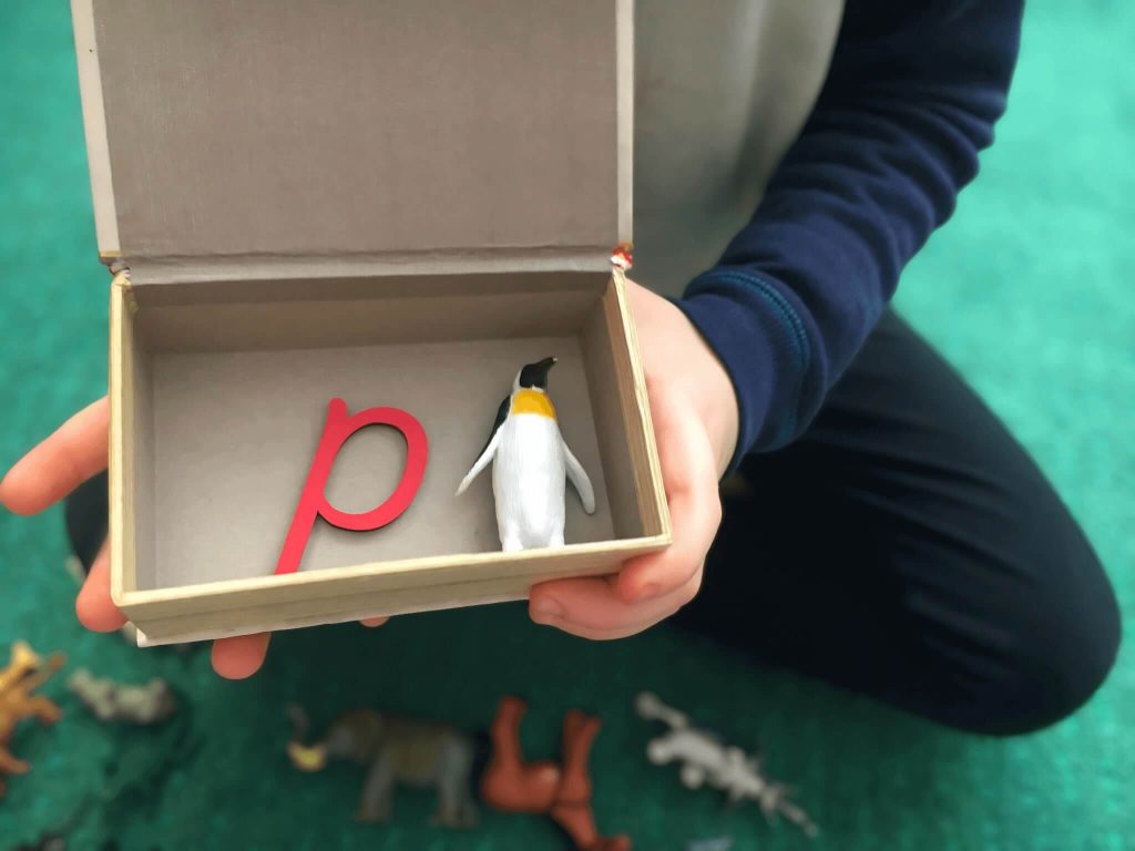 boy playing Montessori movable alphabet sound game picture shows boy holding secret box with the letter p and a penguin figure