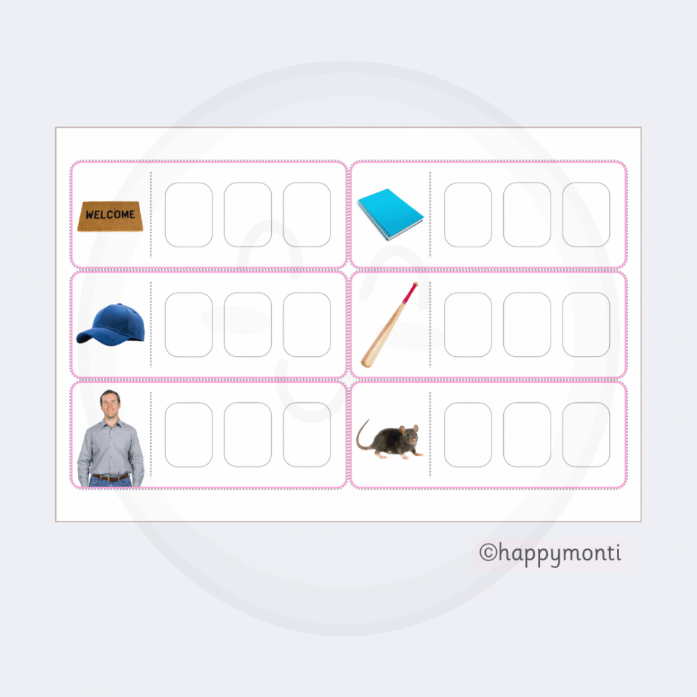 Montessori Pink Series CVC spelling word cards with real-life images and blank letter boxes for early phonics, handwriting, and spelling practice.